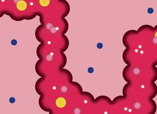 Diverticulitis: the debilitating bowel disorder that’s weakening our guts